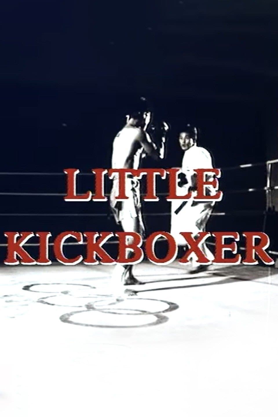 Poster Little Kickboxer