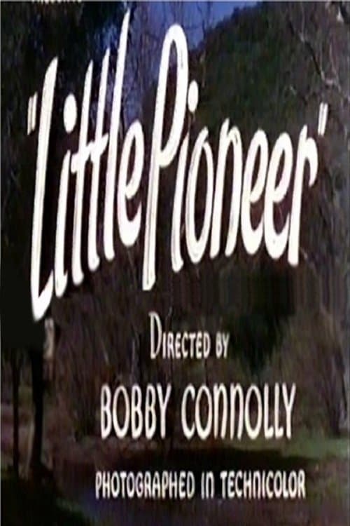 Poster Little Pioneer