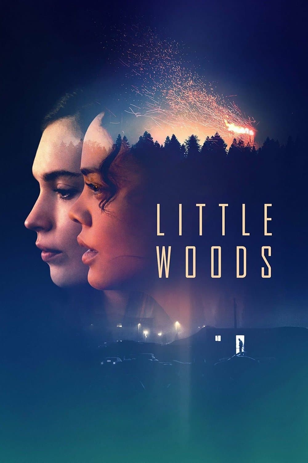 Poster Little Woods