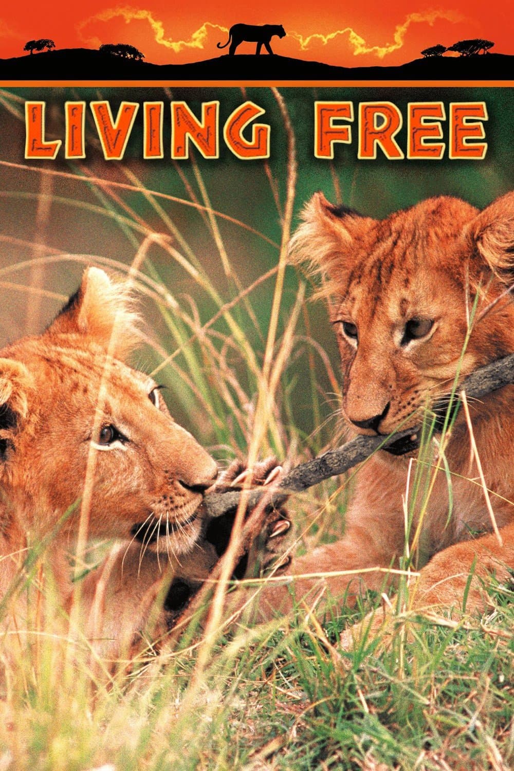 Poster Living Free