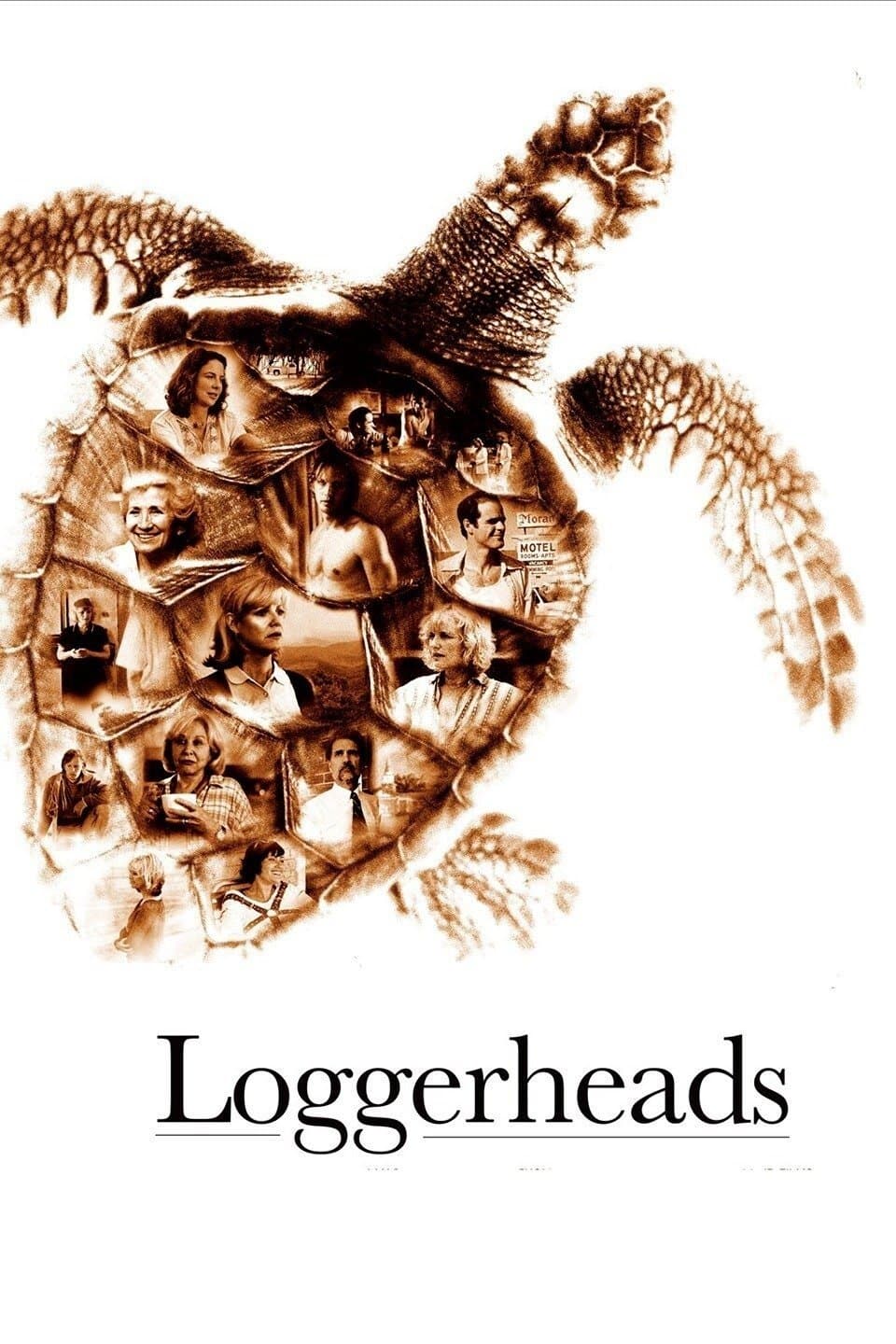 Poster Loggerheads