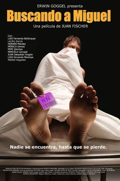 Poster Looking for Miguel