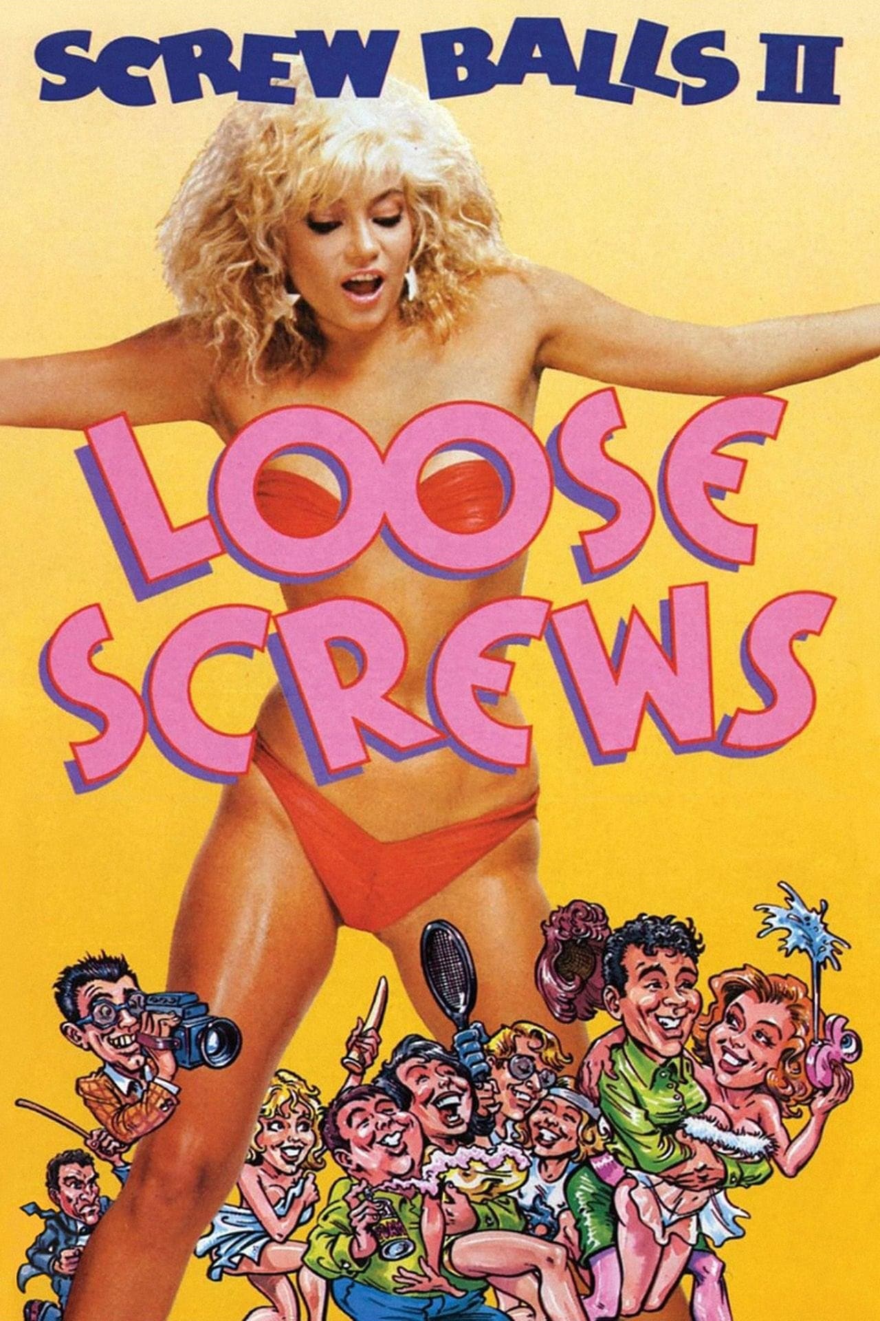 Poster Loose Screws