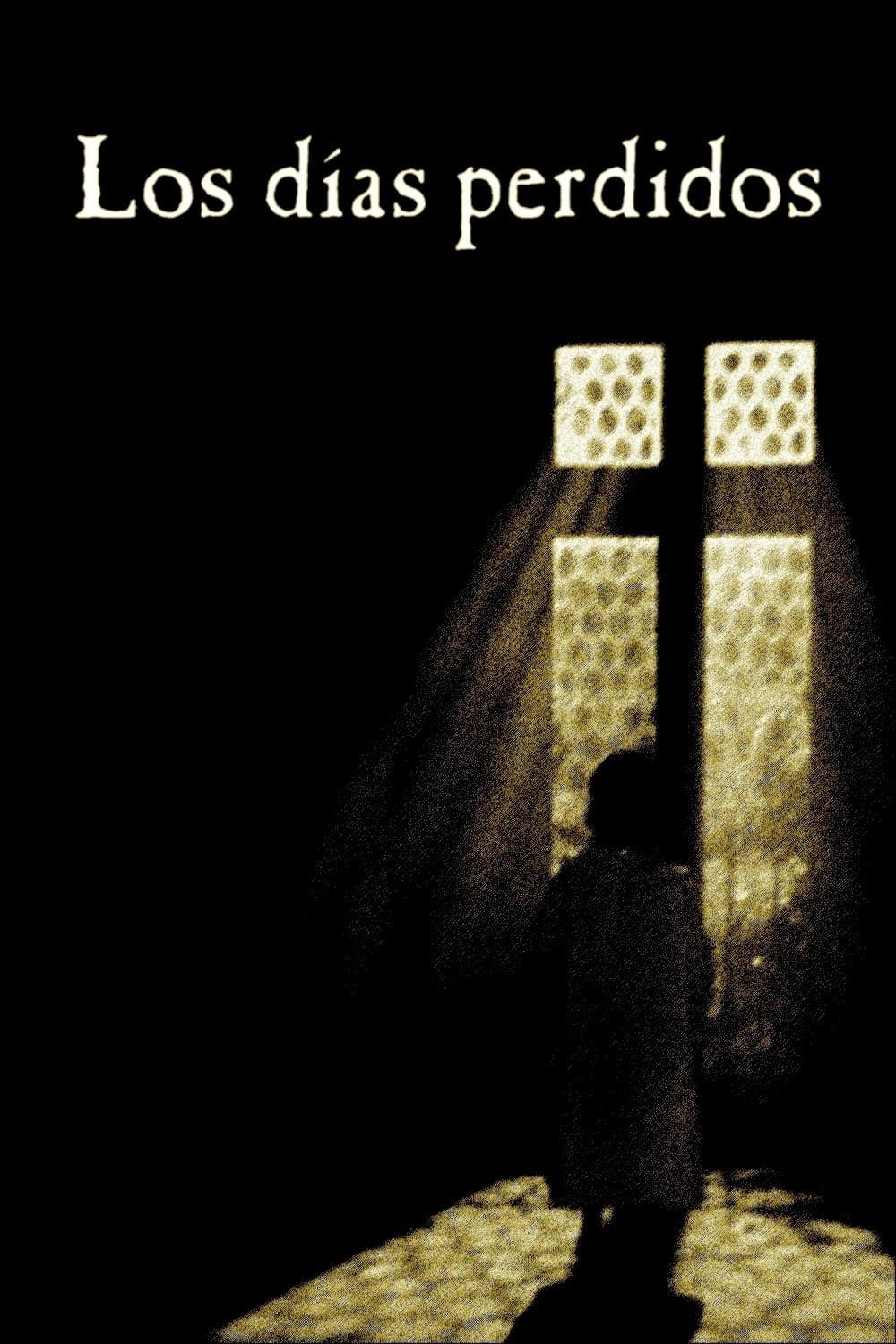 Poster Los días perdidos