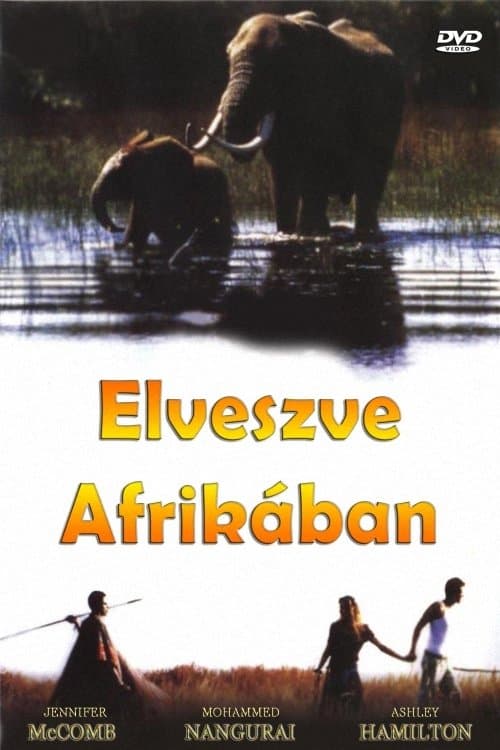 Poster Lost in Africa