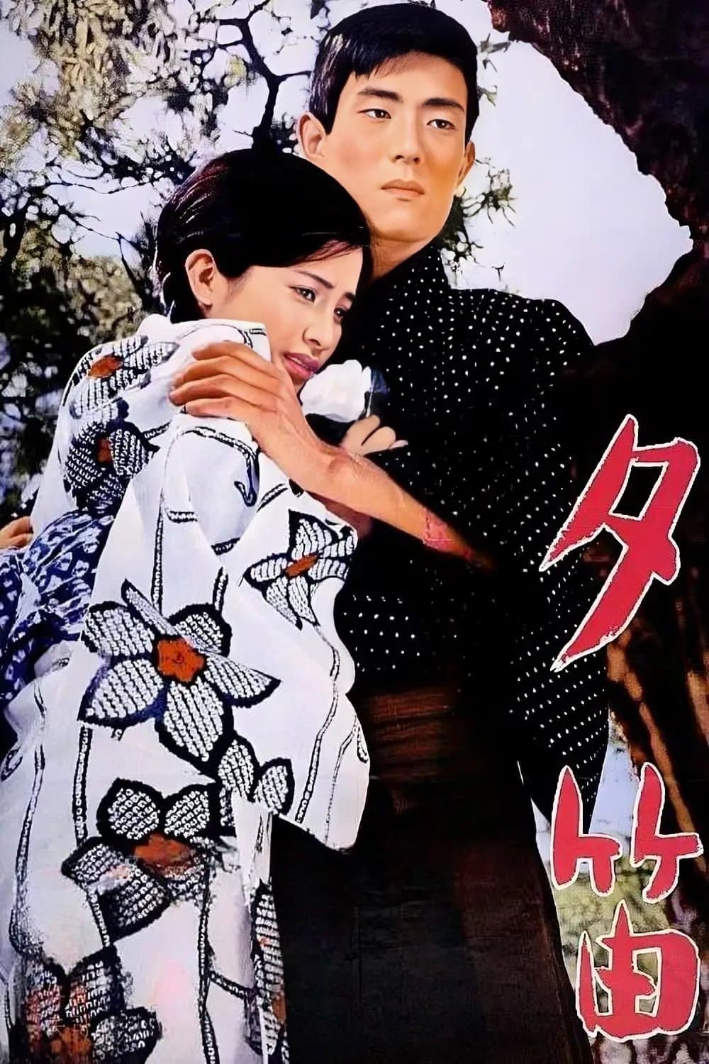 Poster Lost Love