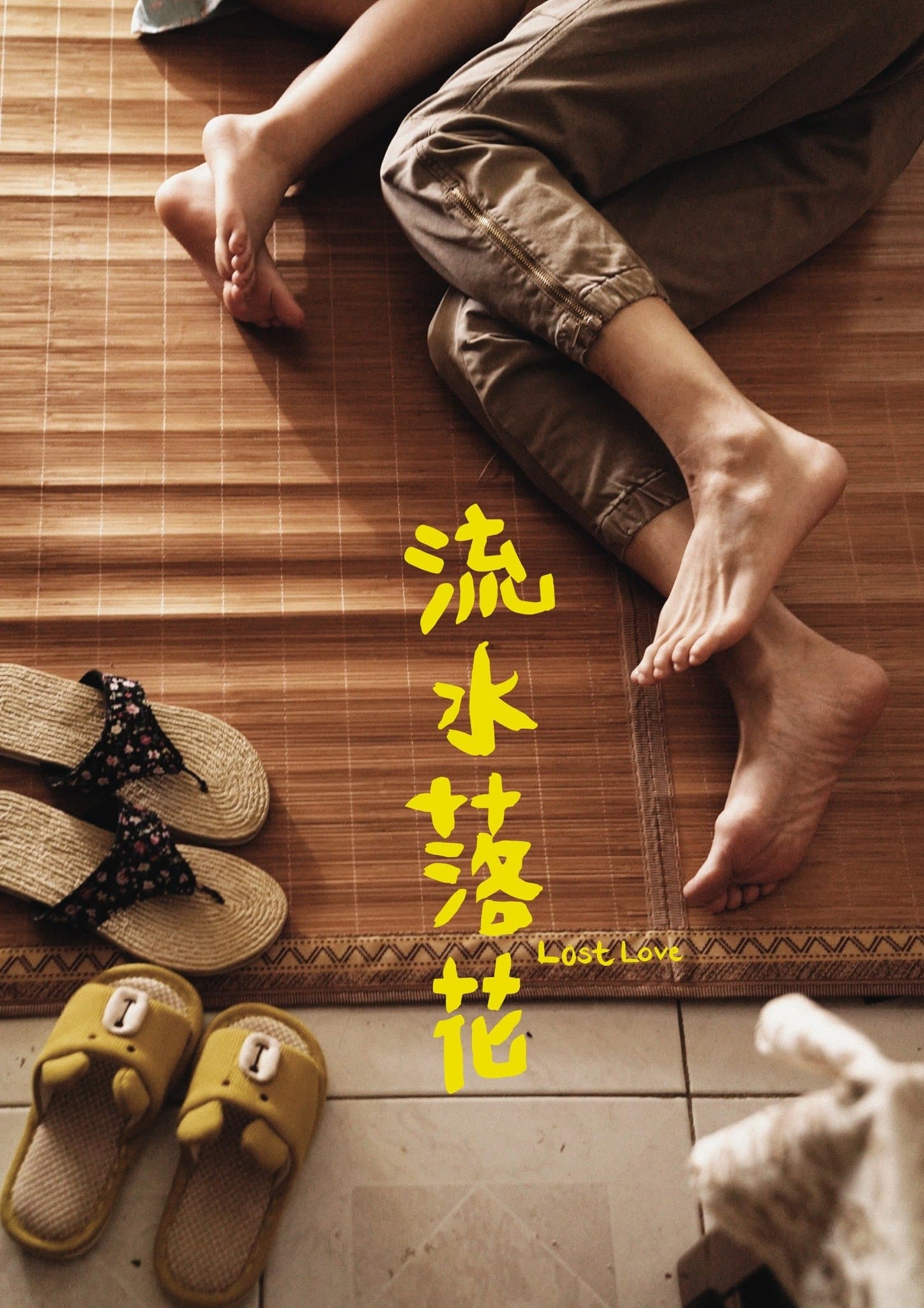 Poster Lost Love