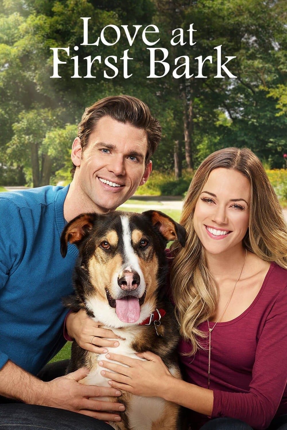 Poster Love at First Bark