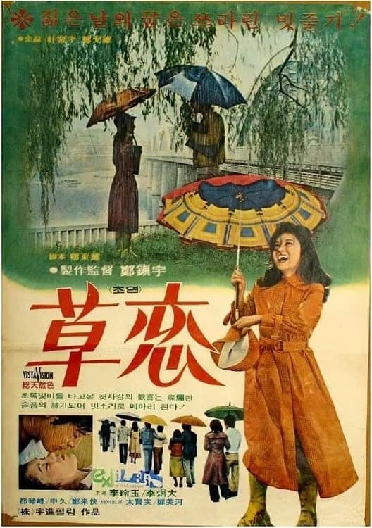 Poster Love In The Rain