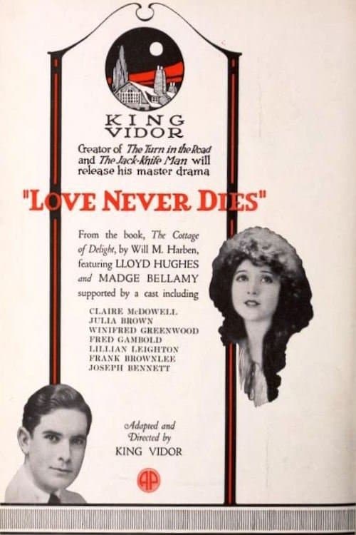 Poster Love Never Dies