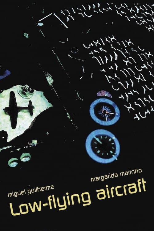 Poster Low-Flying Aircraft
