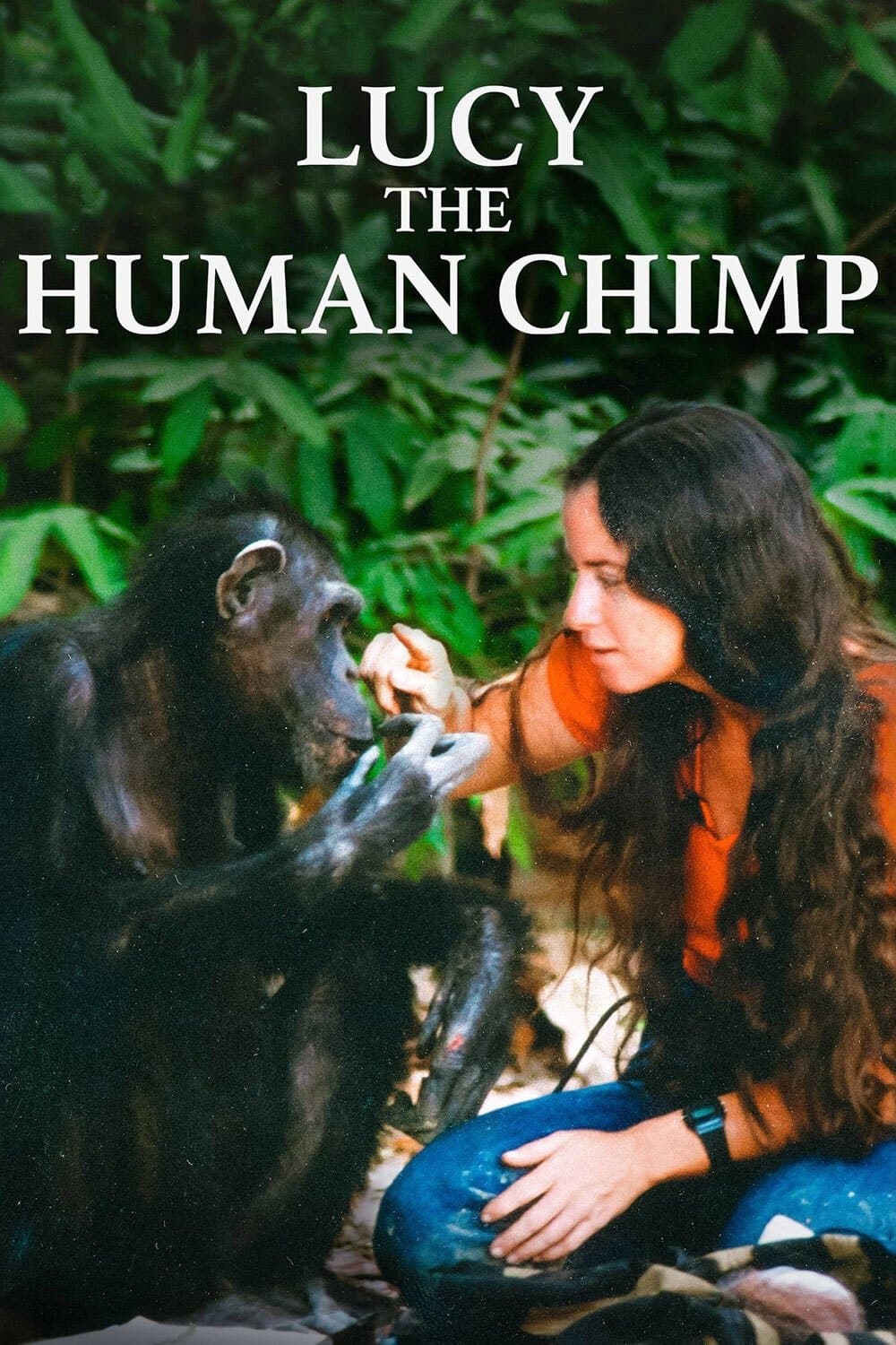 Poster Lucy the Human Chimp