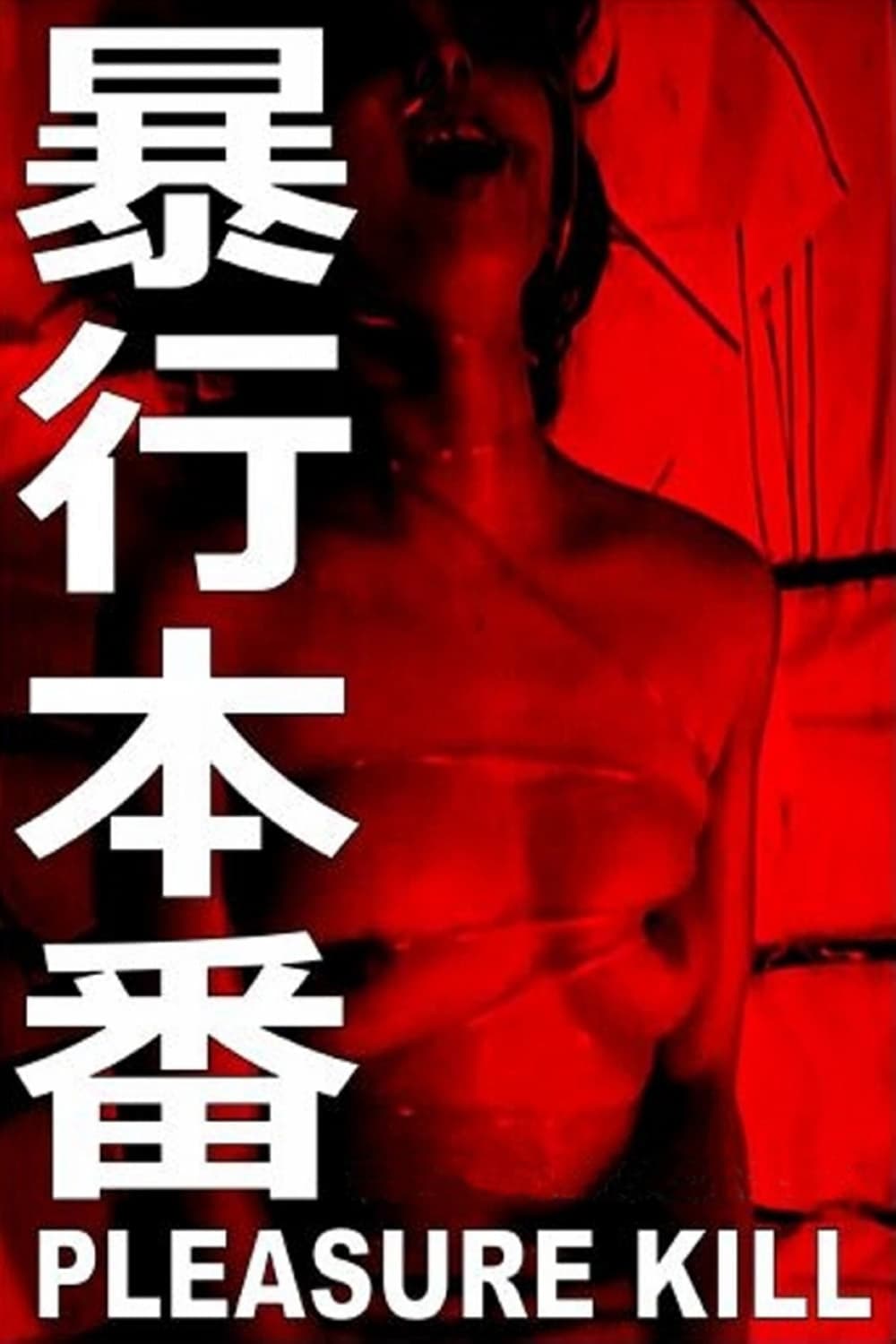 Poster Lustmord
