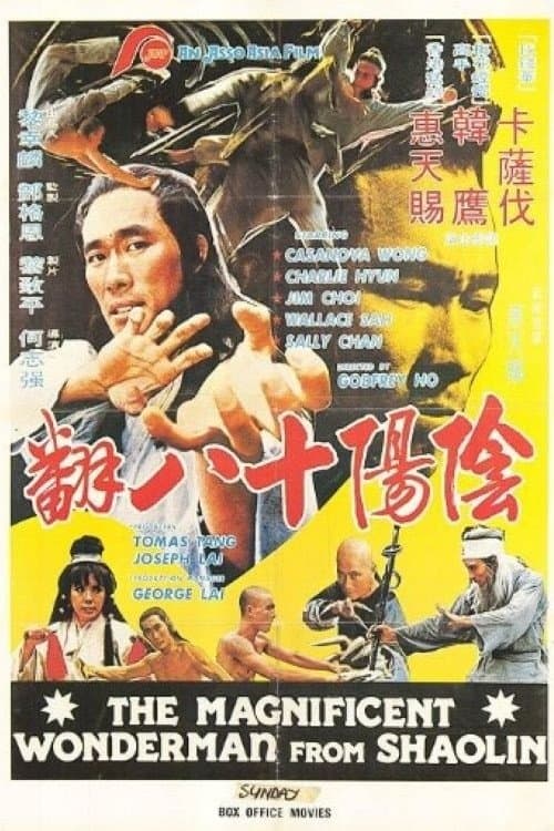 Poster Magnificent Wonderman