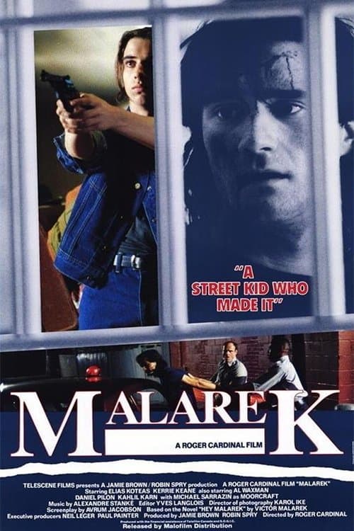 Poster Malarek