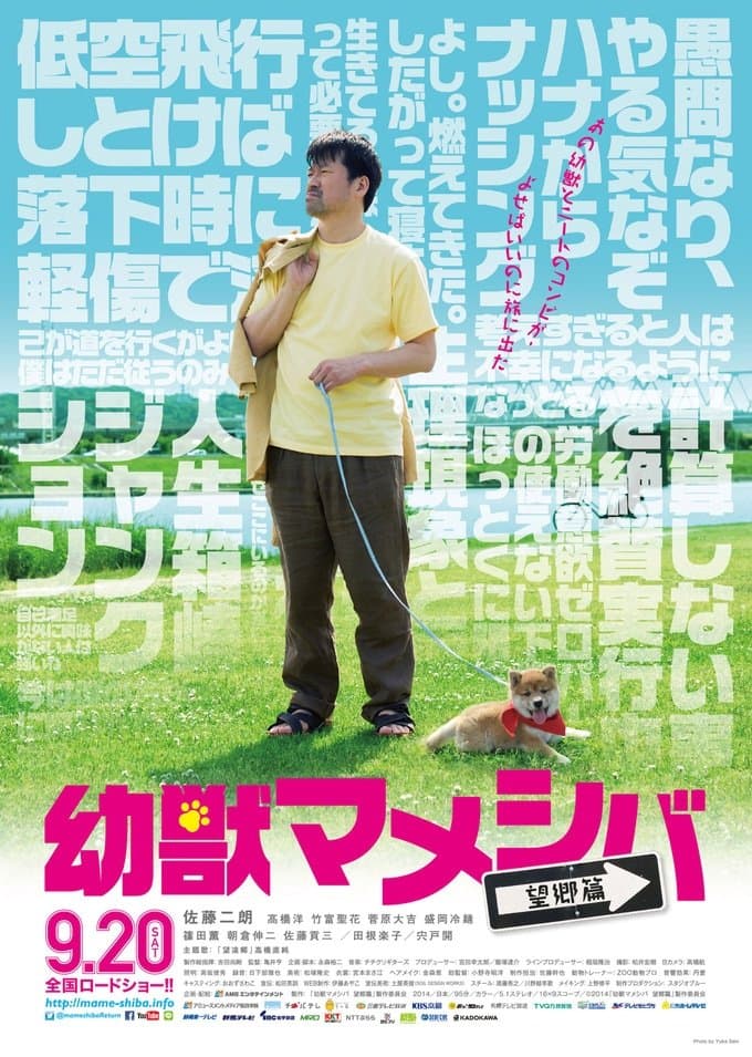 Poster Mameshiba Cubbish Puppy