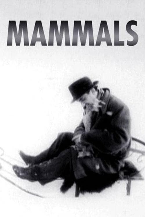 Poster Mammals