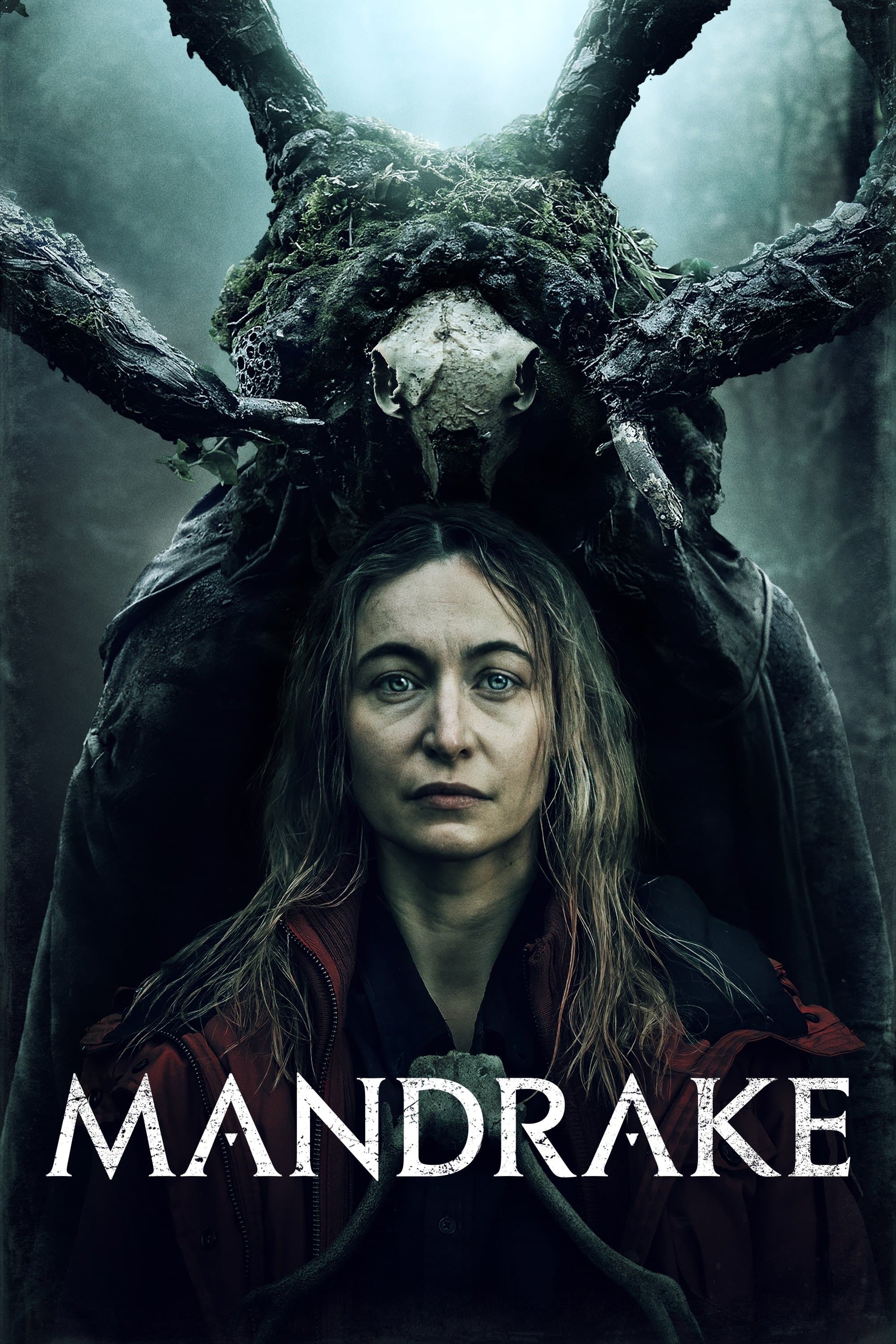 Poster Mandrake
