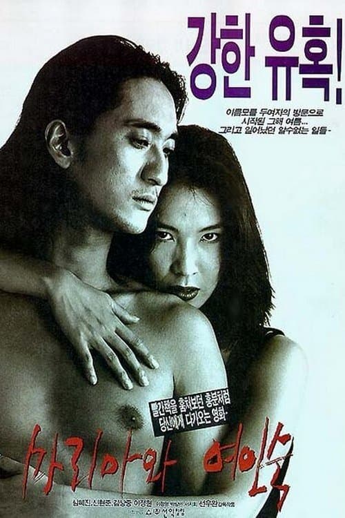 Poster Maria and the Inn