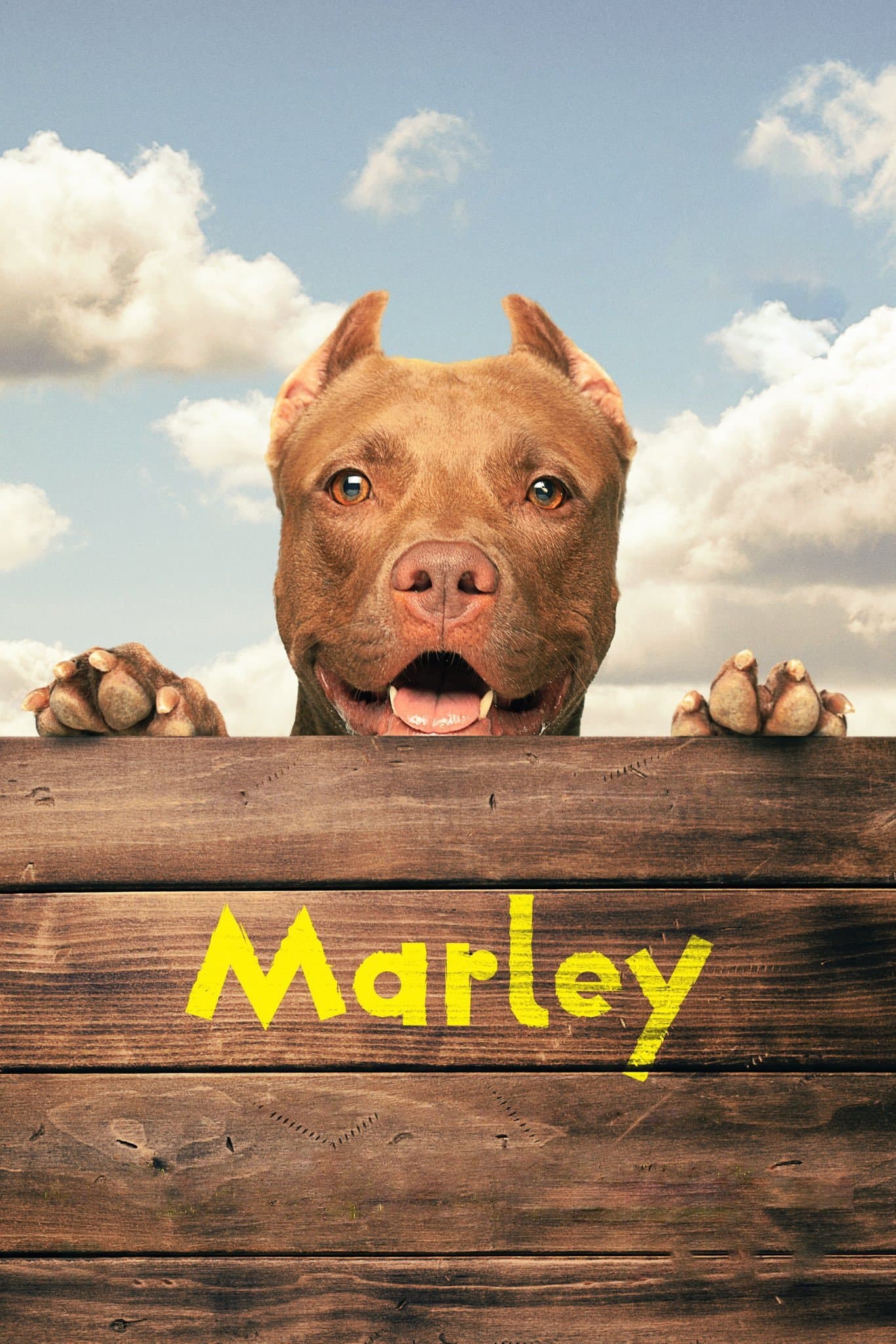Poster Marley