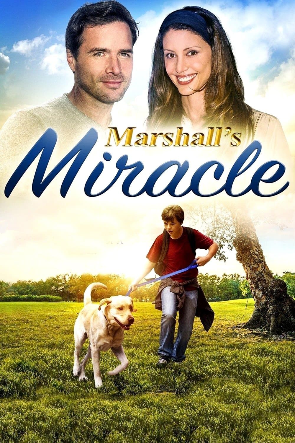 Poster Marshall's Miracle