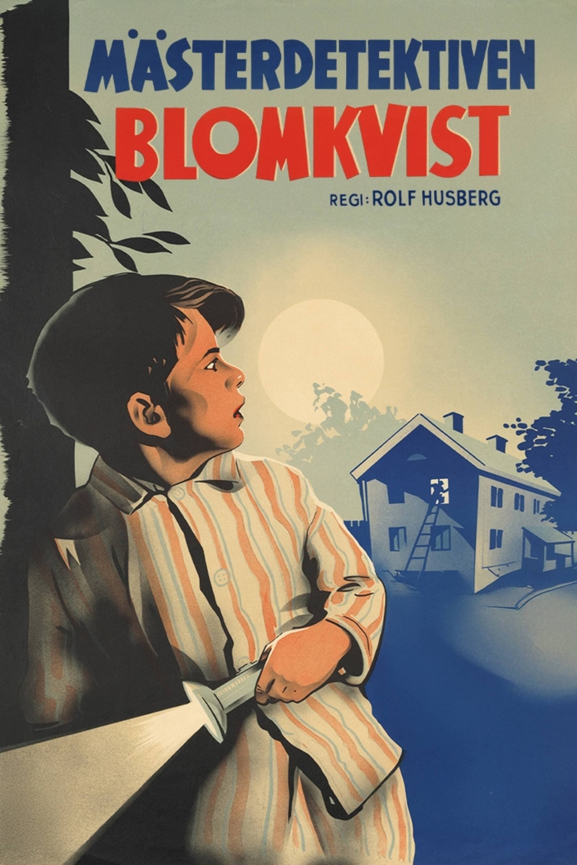Poster Master Detective Blomkvist