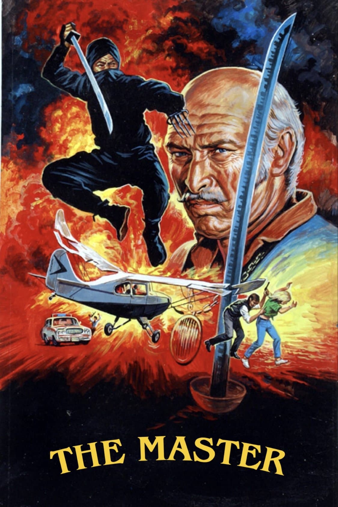 Poster Master Ninja