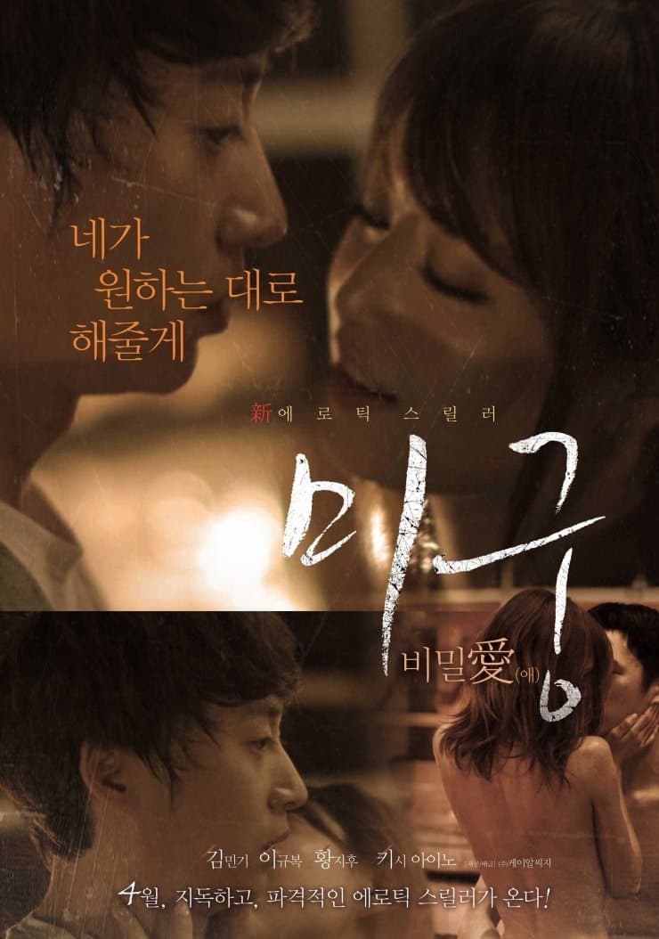 Poster Maze: Secret Love