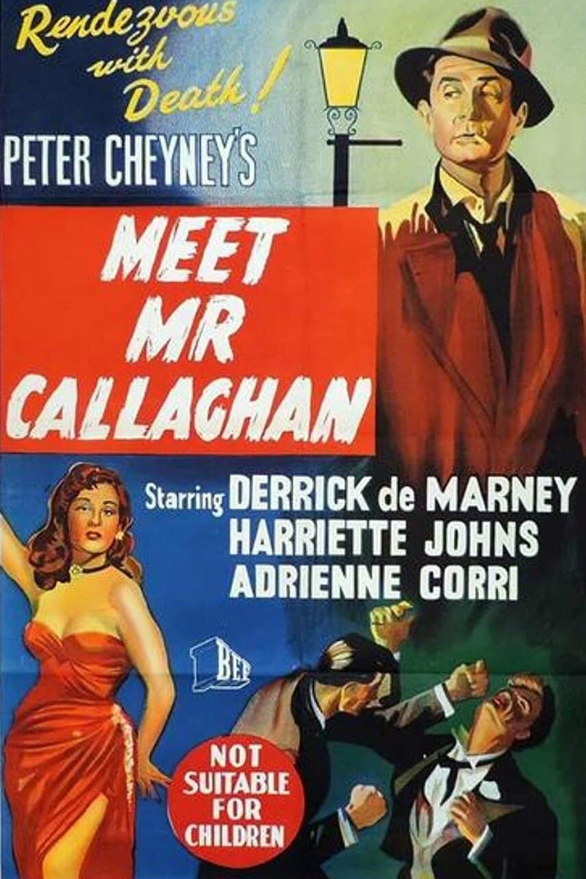 Poster Meet Mr. Callaghan