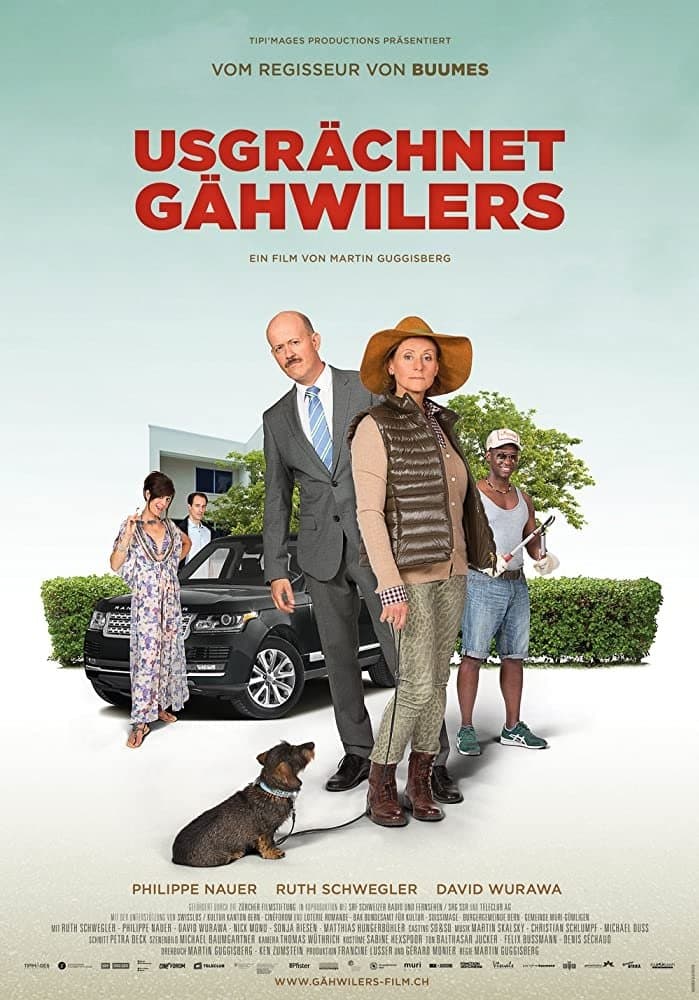 Poster Meet The Gähwilers