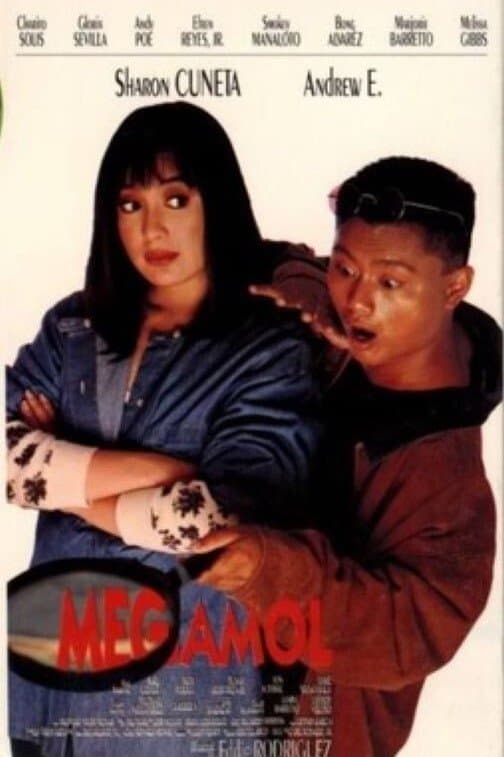 Poster Megamol