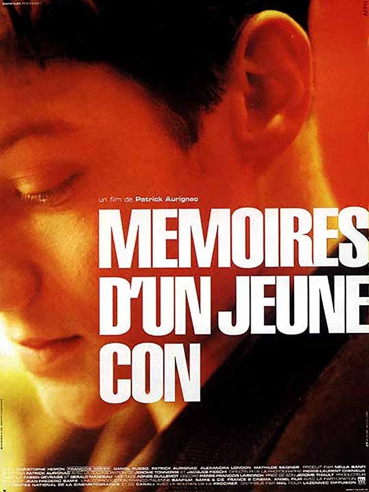 Poster Mémoires d'un jeune con