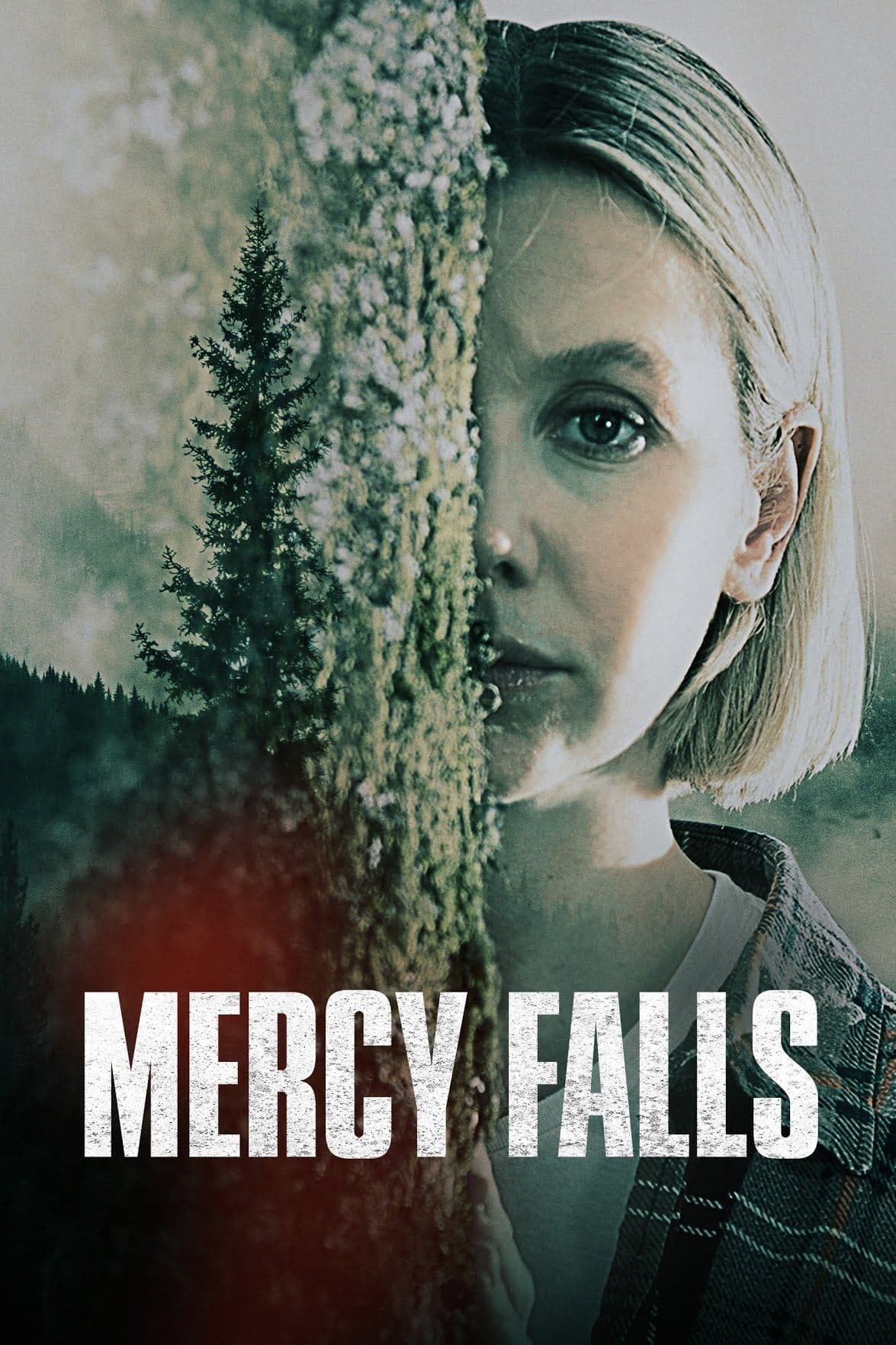 Poster Mercy Falls