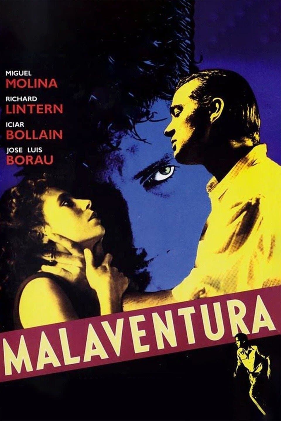 Poster Misadventure
