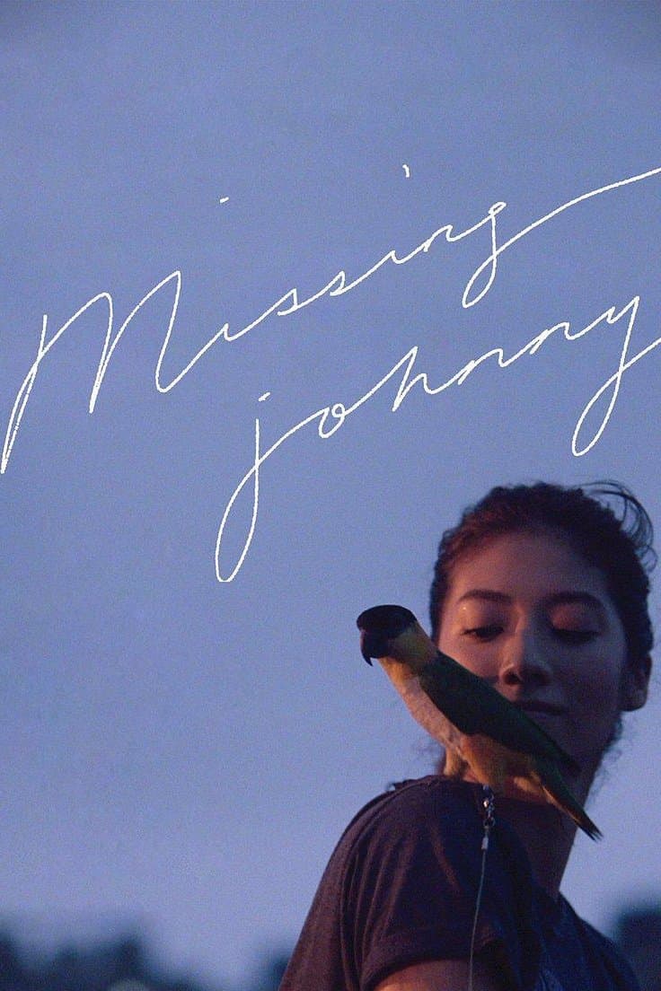 Poster Missing Johnny