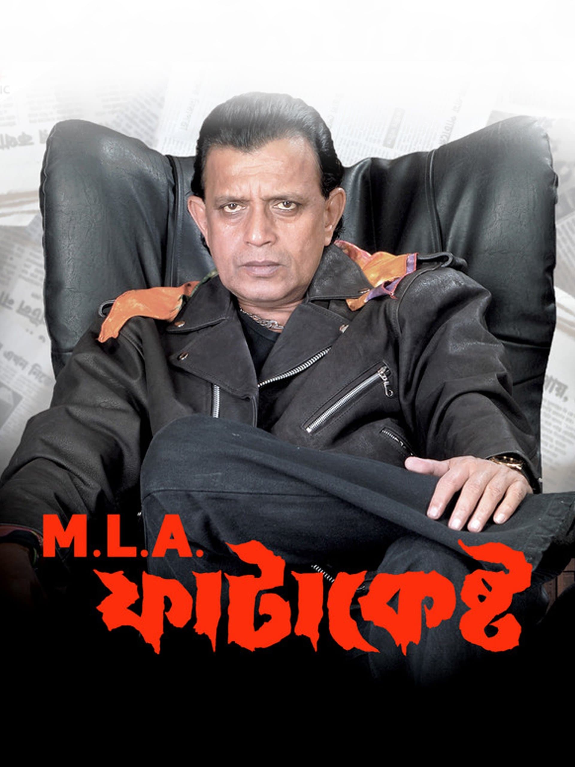 Poster M.L.A. Fatakesto