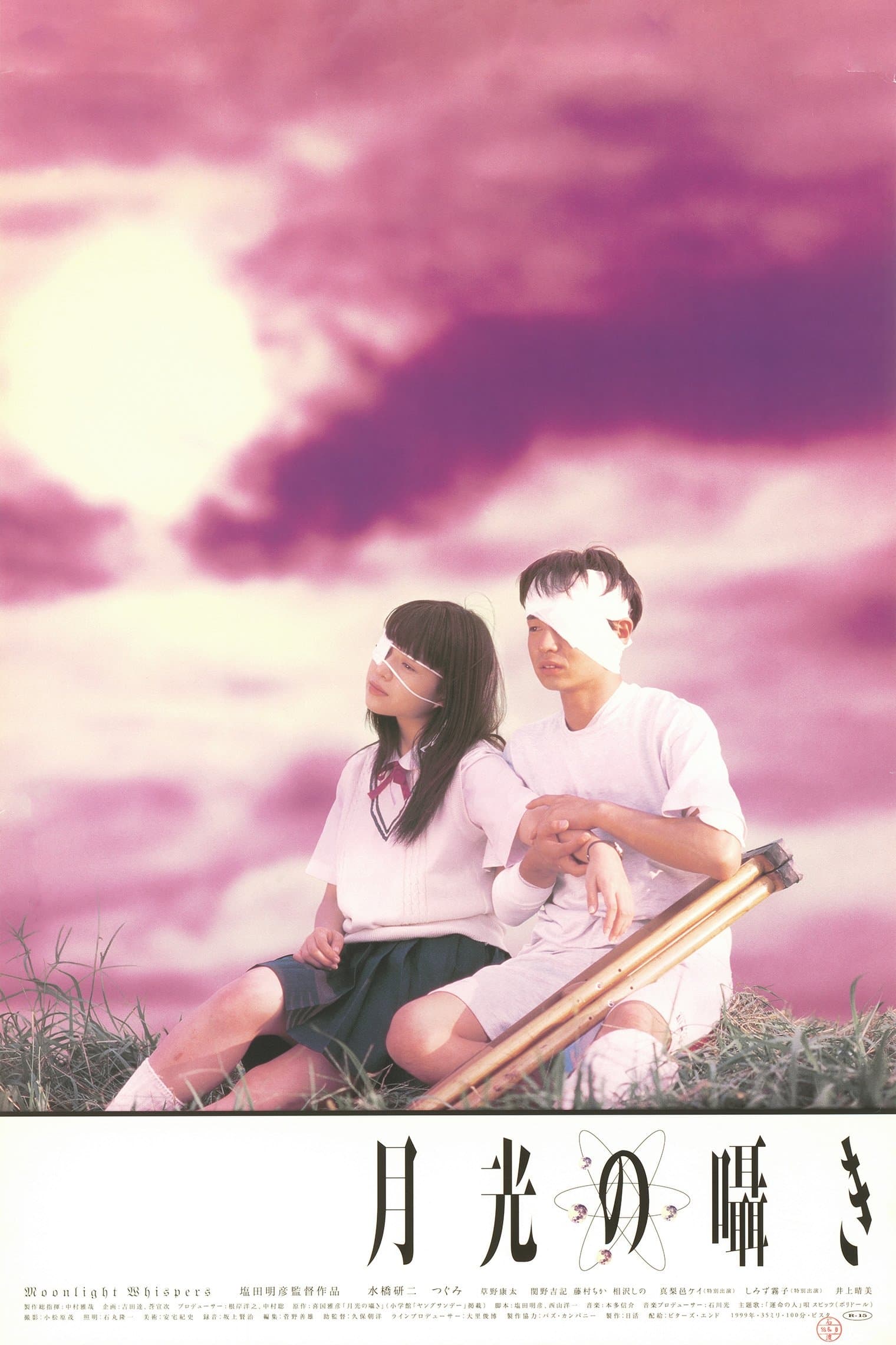 Poster Moonlight Whispers