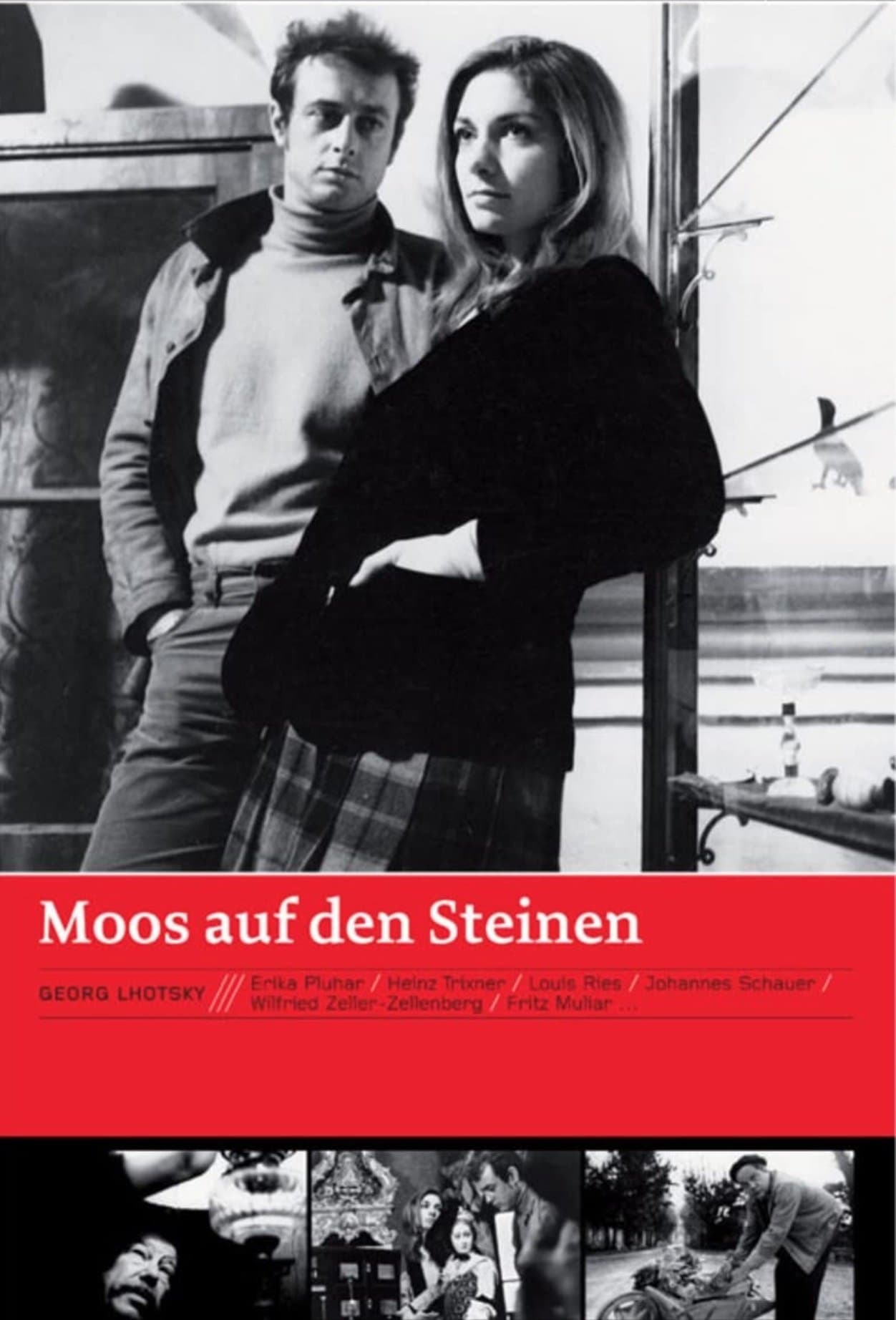 Poster Moss on the Stones