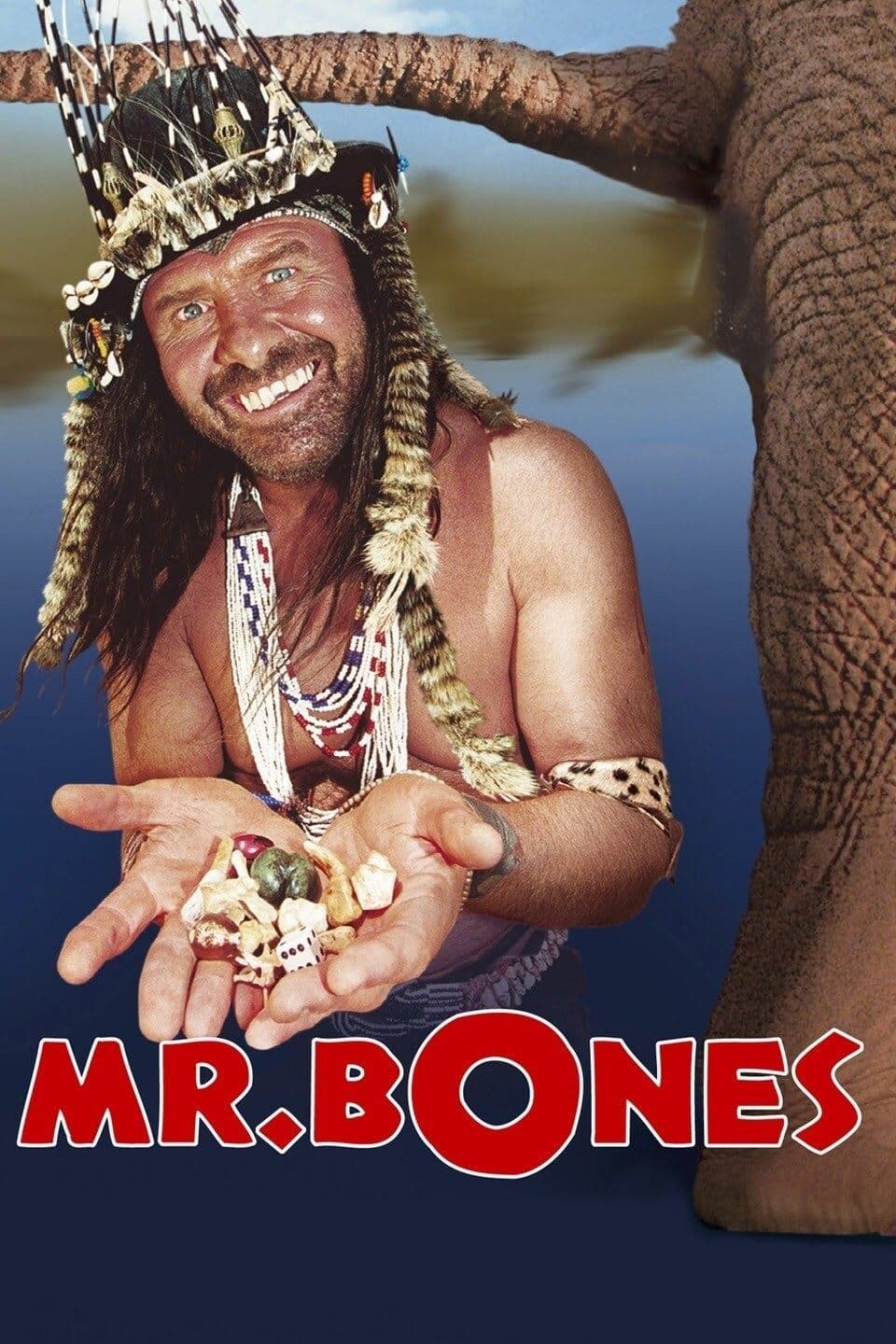 Poster Mr. Bones