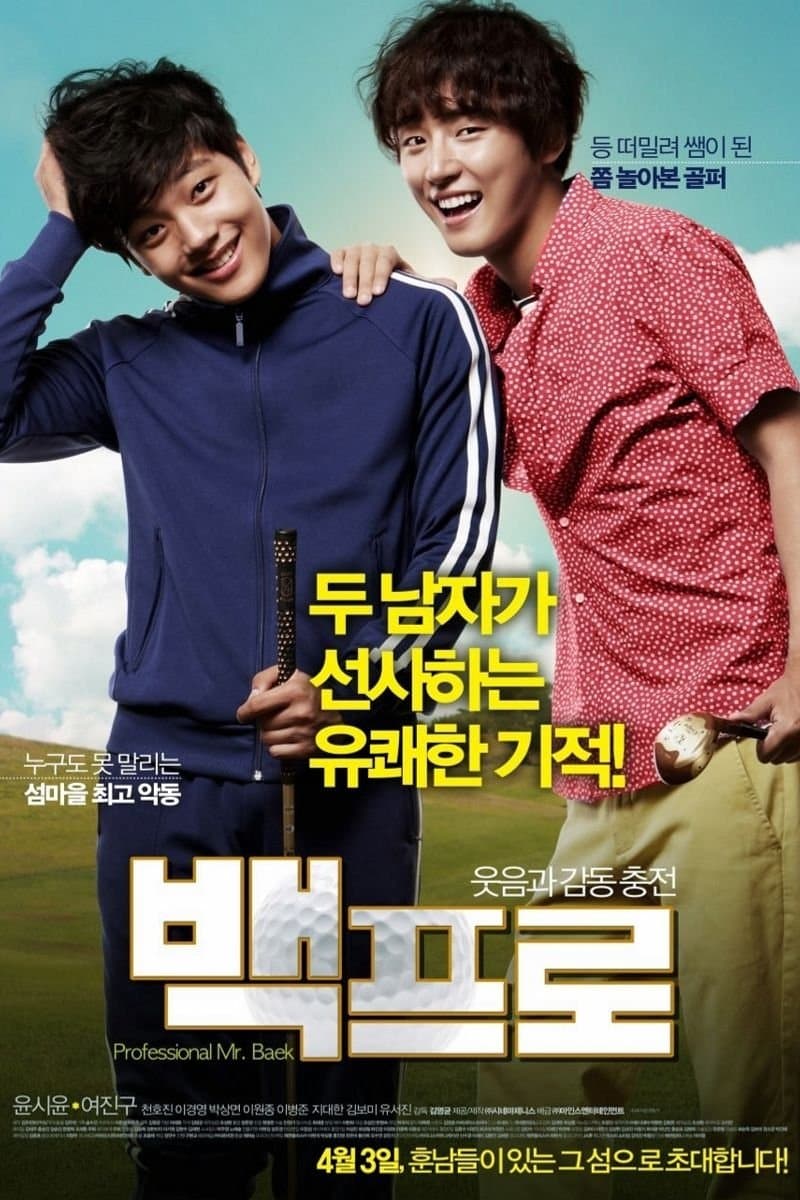Poster Mr. Perfect