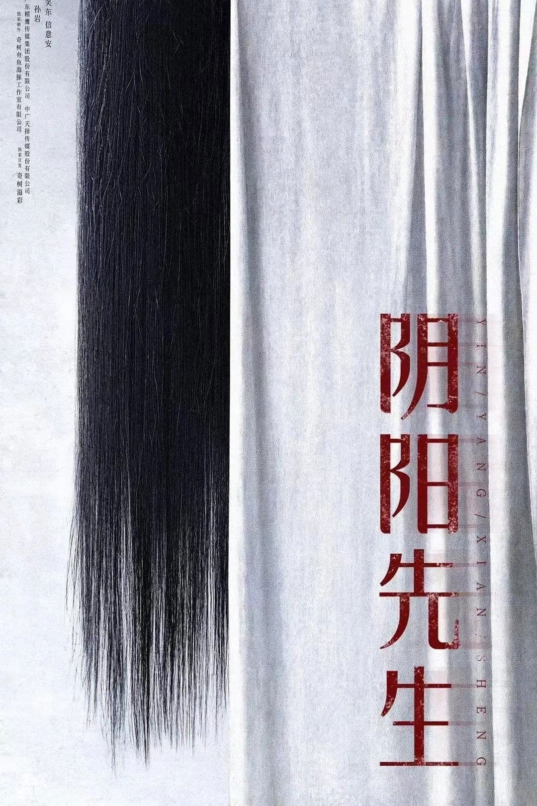 Poster Mr Yin-Yang
