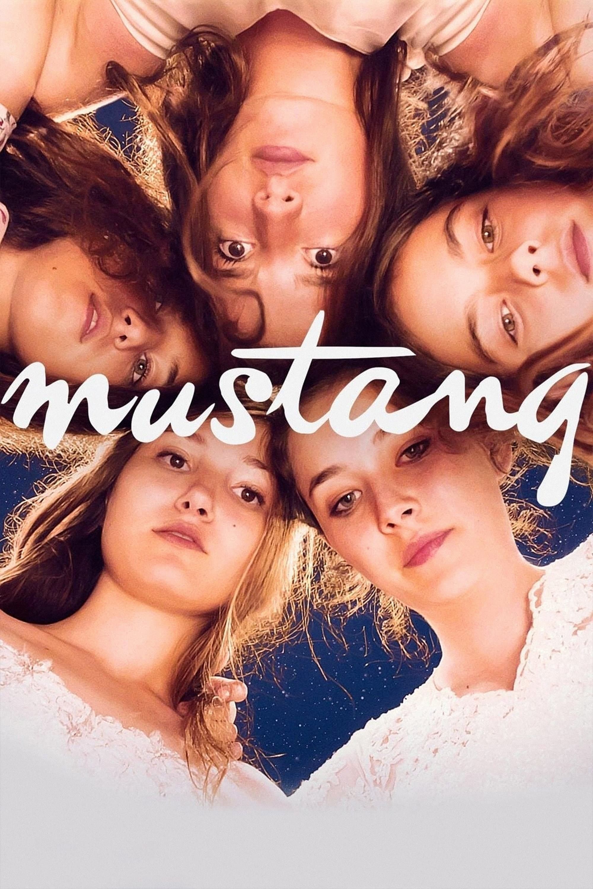 Poster Mustang