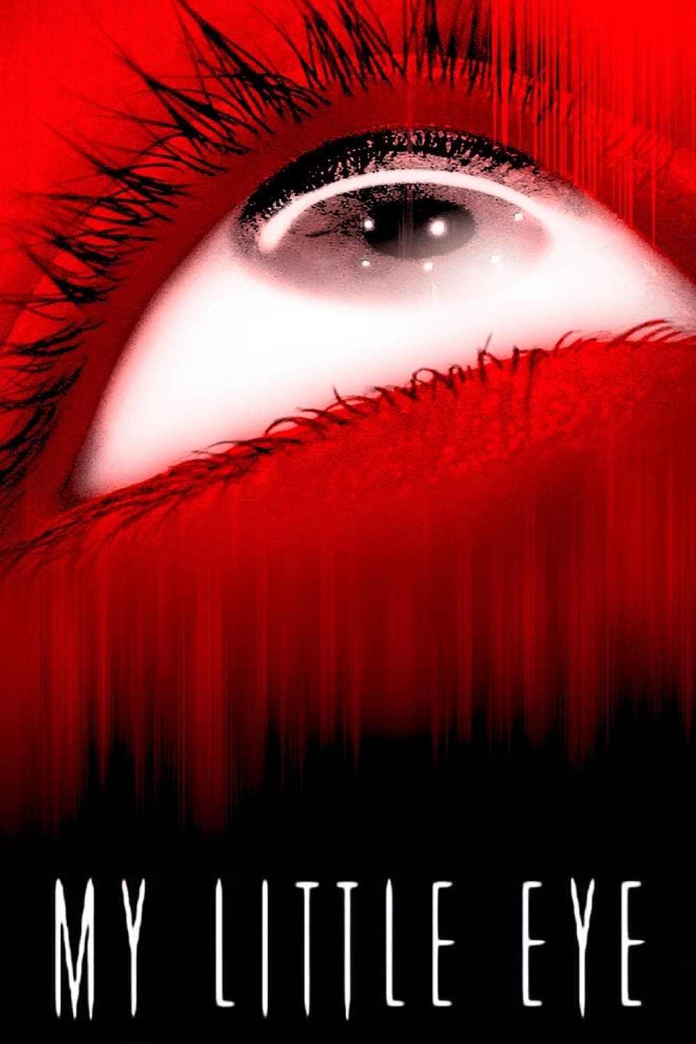 Poster My Little Eye