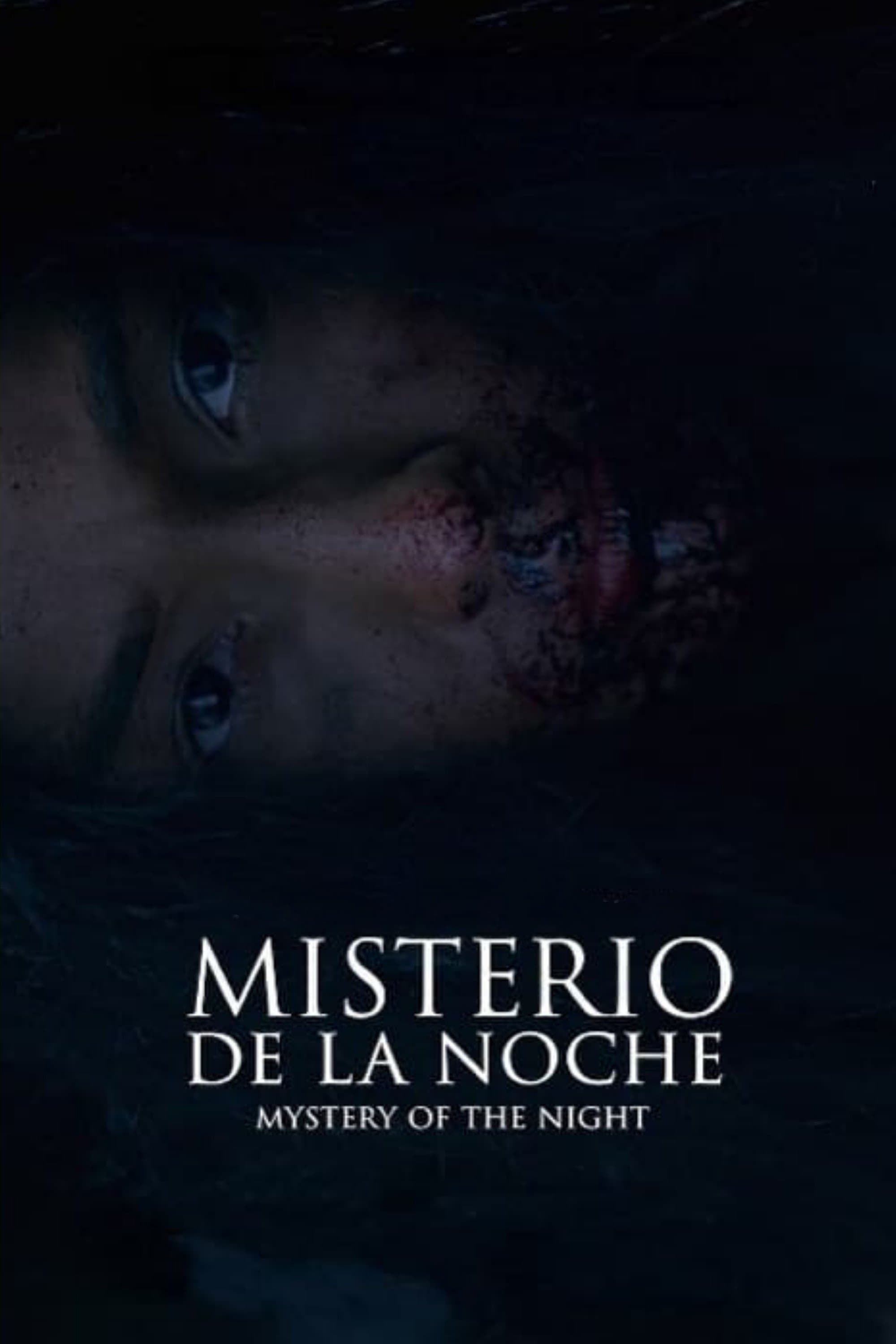 Poster Mystery of the Night