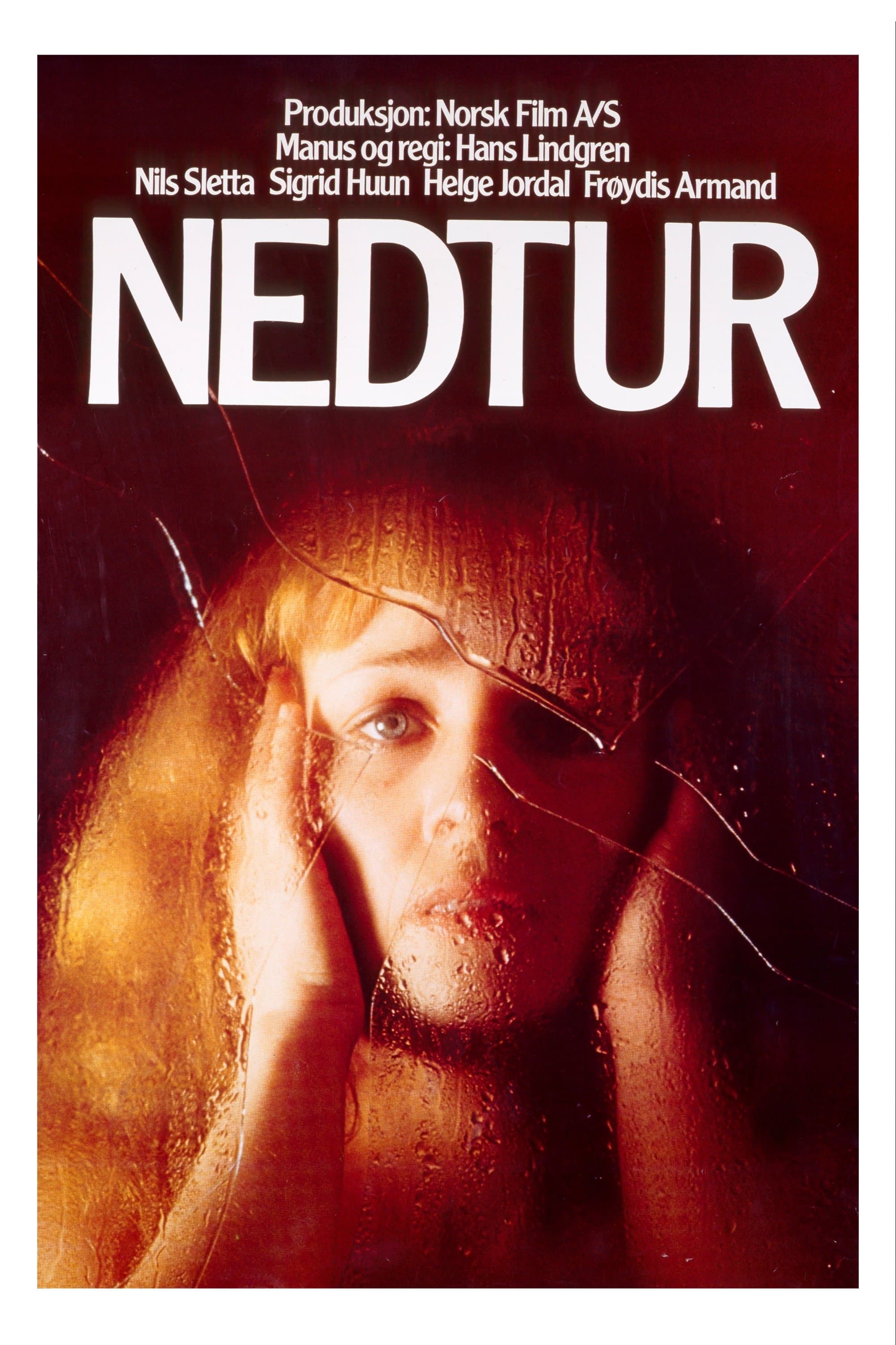Poster Nedtur