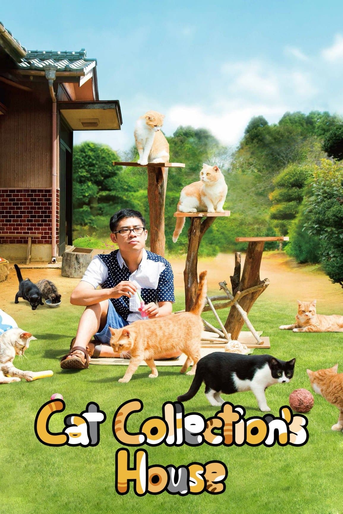 Poster Neko Atsume House