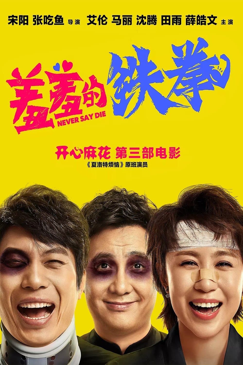 Poster Never Say Die