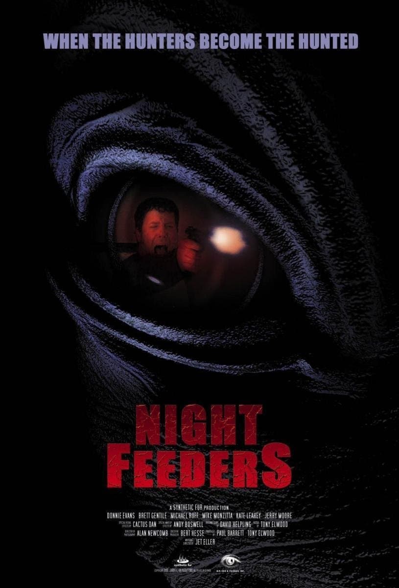 Poster Night Feeders