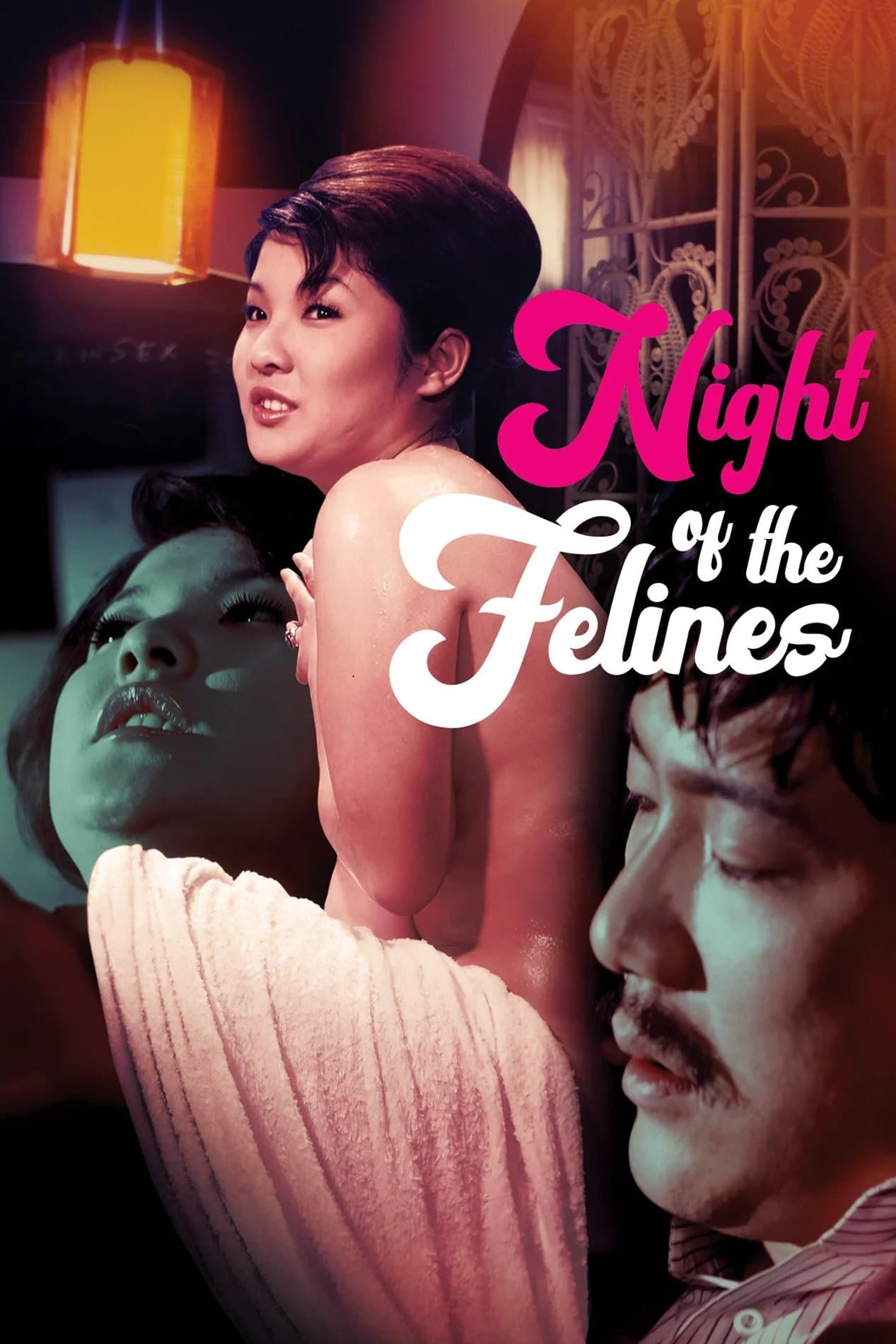 Poster Night of the Felines