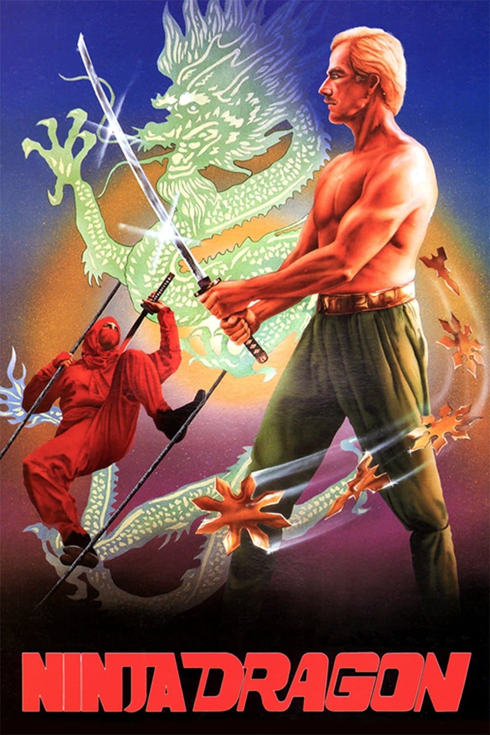 Poster Ninja Dragon